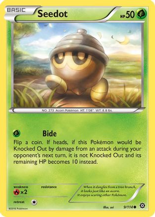Seedot 9/114 - XY Steam Siege