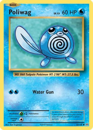 Poliwag 23/108 - XY Evolutions