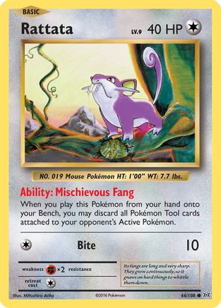 Rattata 66/108 - XY Evolutions