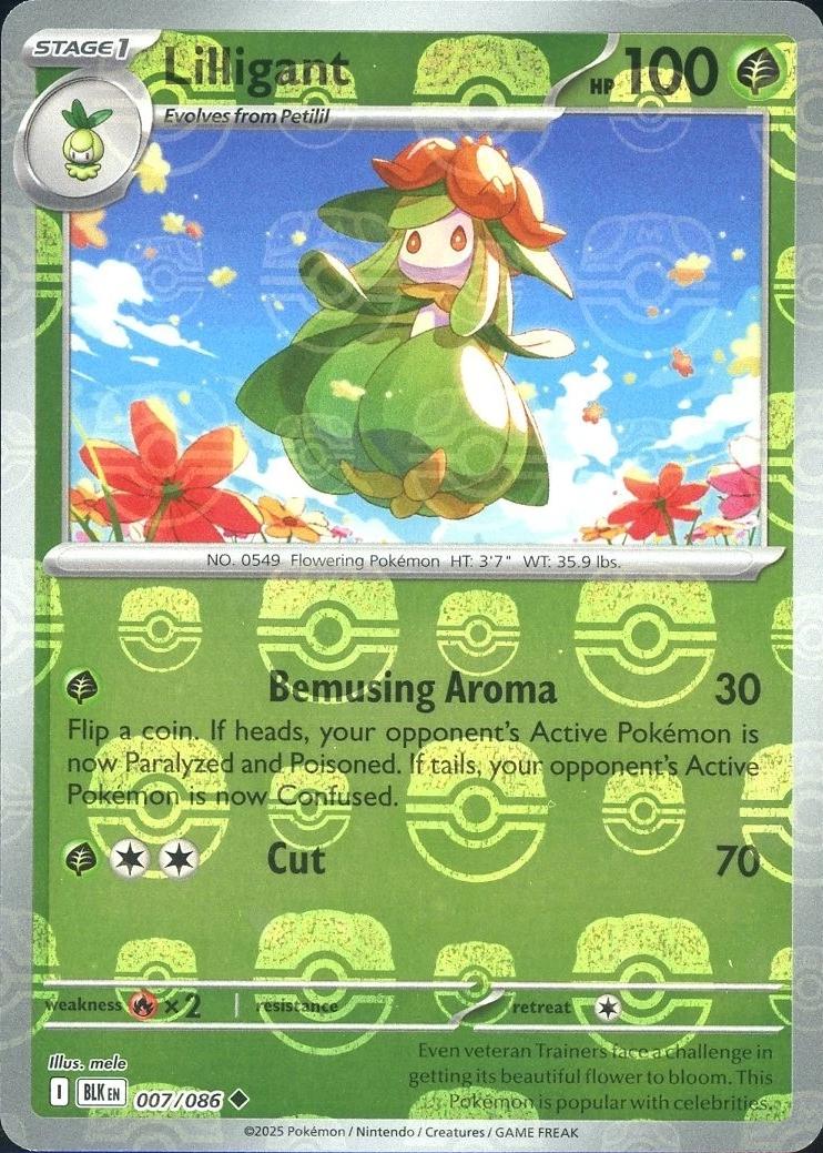 Lilligant (Master Ball Pattern) 7 - SV Black Bolt Holofoil