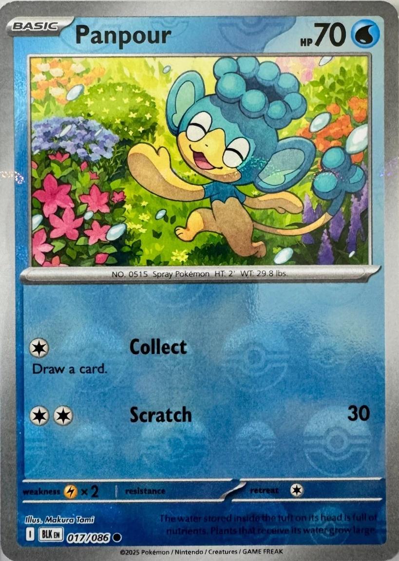 Panpour (Poke Ball Pattern) 17 - SV Black Bolt Holofoil