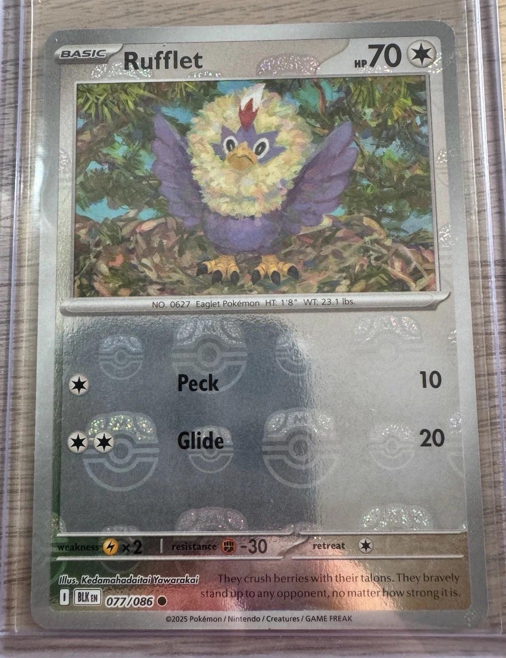 Rufflet (Master Ball Pattern) 77 - SV Black Bolt Holofoil