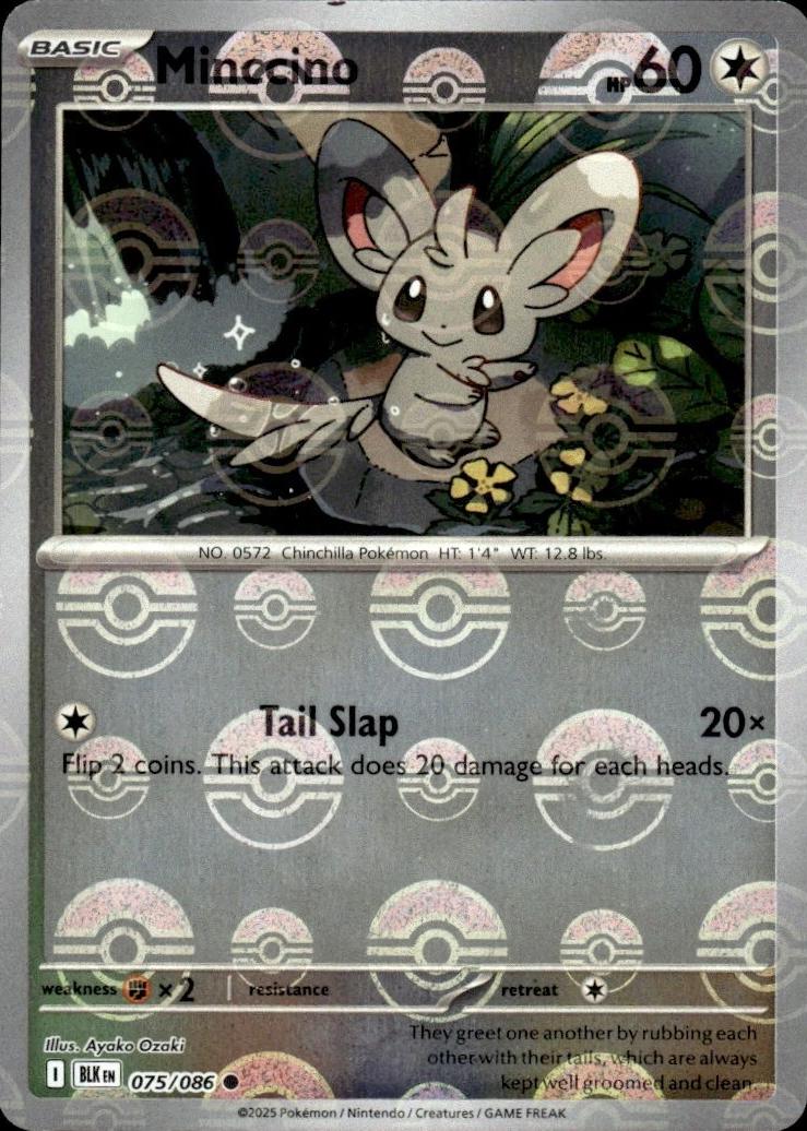 Minccino (Poke Ball Pattern) 75 - SV Black Bolt Holofoil