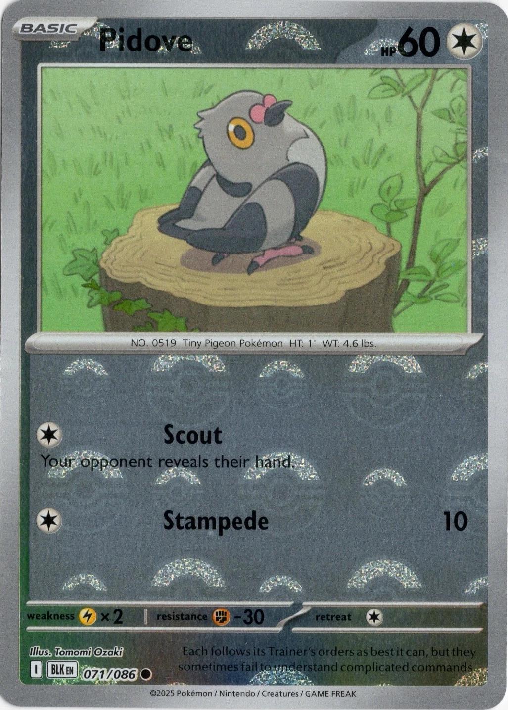 Pidove (Poke Ball Pattern) 71 - SV Black Bolt Holofoil