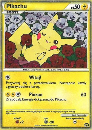 Pikachu (Polish) - PW - Pikachu World Collection Promos Holofoil