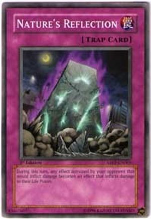 Nature's Reflection (ABPF-EN065) - Absolute Powerforce Unlimited