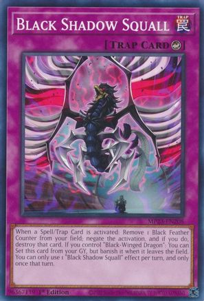 Black Shadow Squall (MP23-EN208) - 25th Anniversary Tin: Dueling Heroes Mega Pack 1st Edition