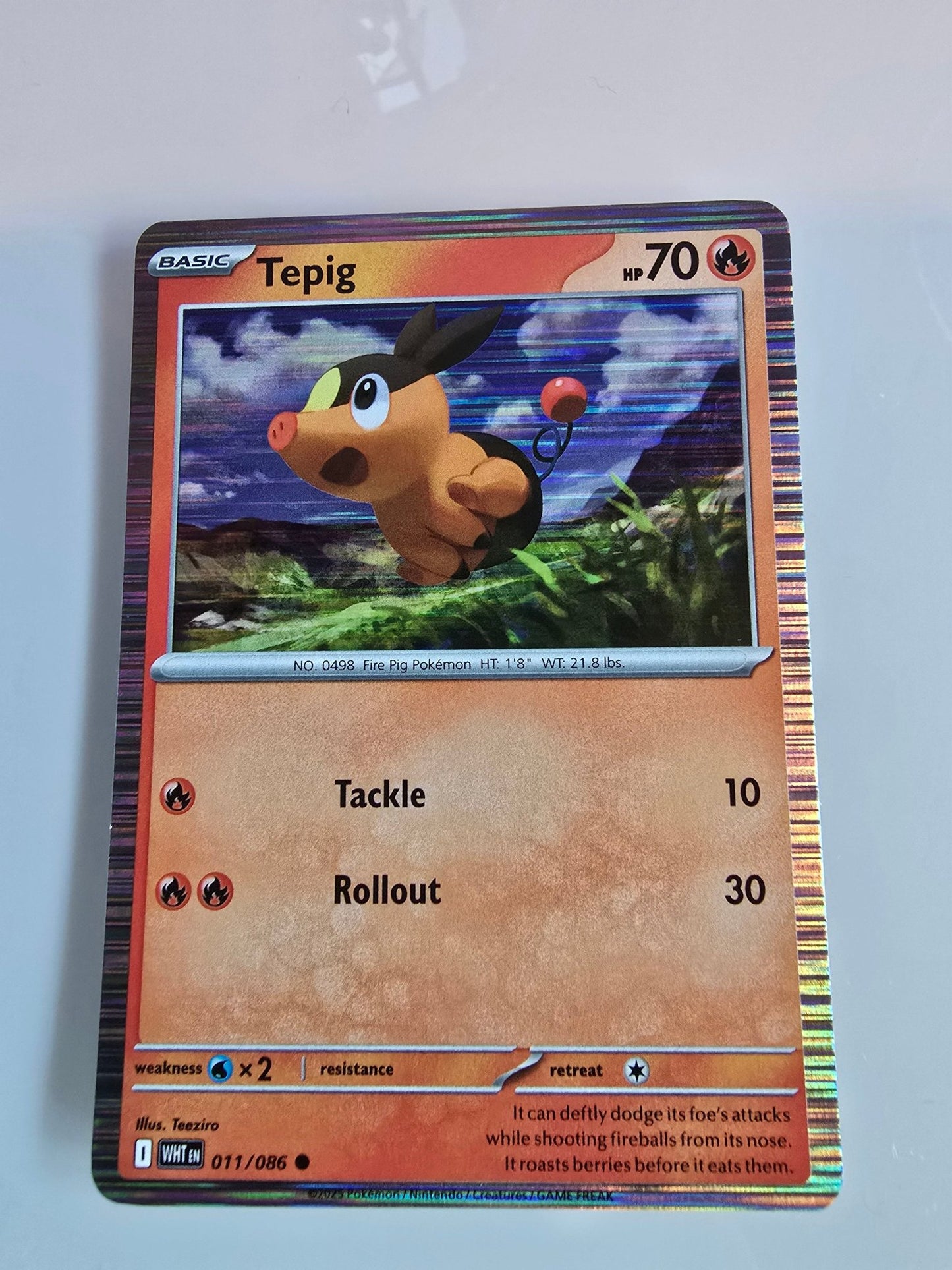 Tepig - 011/086 11 - Miscellaneous Cards & Products Holofoil