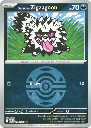 Galarian Zigzagoon (Dusk Ball) - 130/217 - ME Ascended Heroes Reverse Holofoil