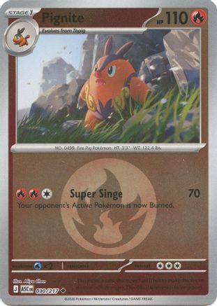 Pignite (Energy Symbol Pattern) - 030/217 - ME Ascended Heroes Reverse Holofoil