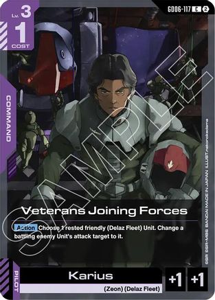 Veterans Joining Forces - GD06-117 - Stardust Trails