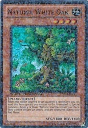 Naturia White Oak (DT04-EN081) - Duel Terminal 4 Limited