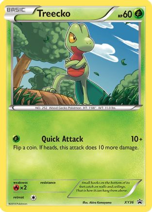 Treecko - XY36 XY36/211 - XY Promos Holofoil