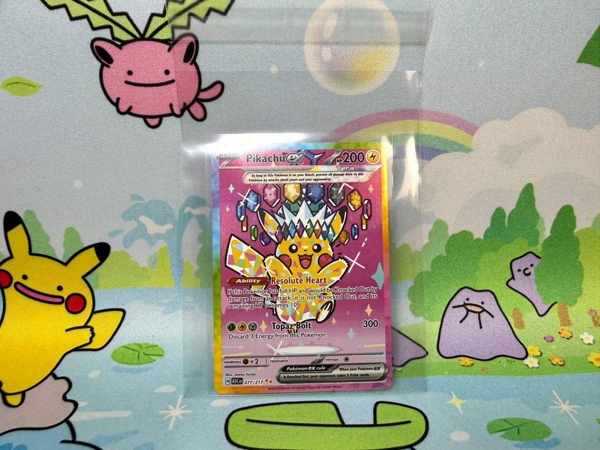 Sunny Hobbies SUNFORGE Team Bag 100ct
