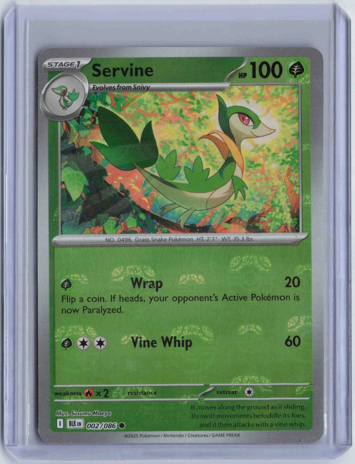 Servine (Master Ball Pattern) 2 - SV Black Bolt Holofoil