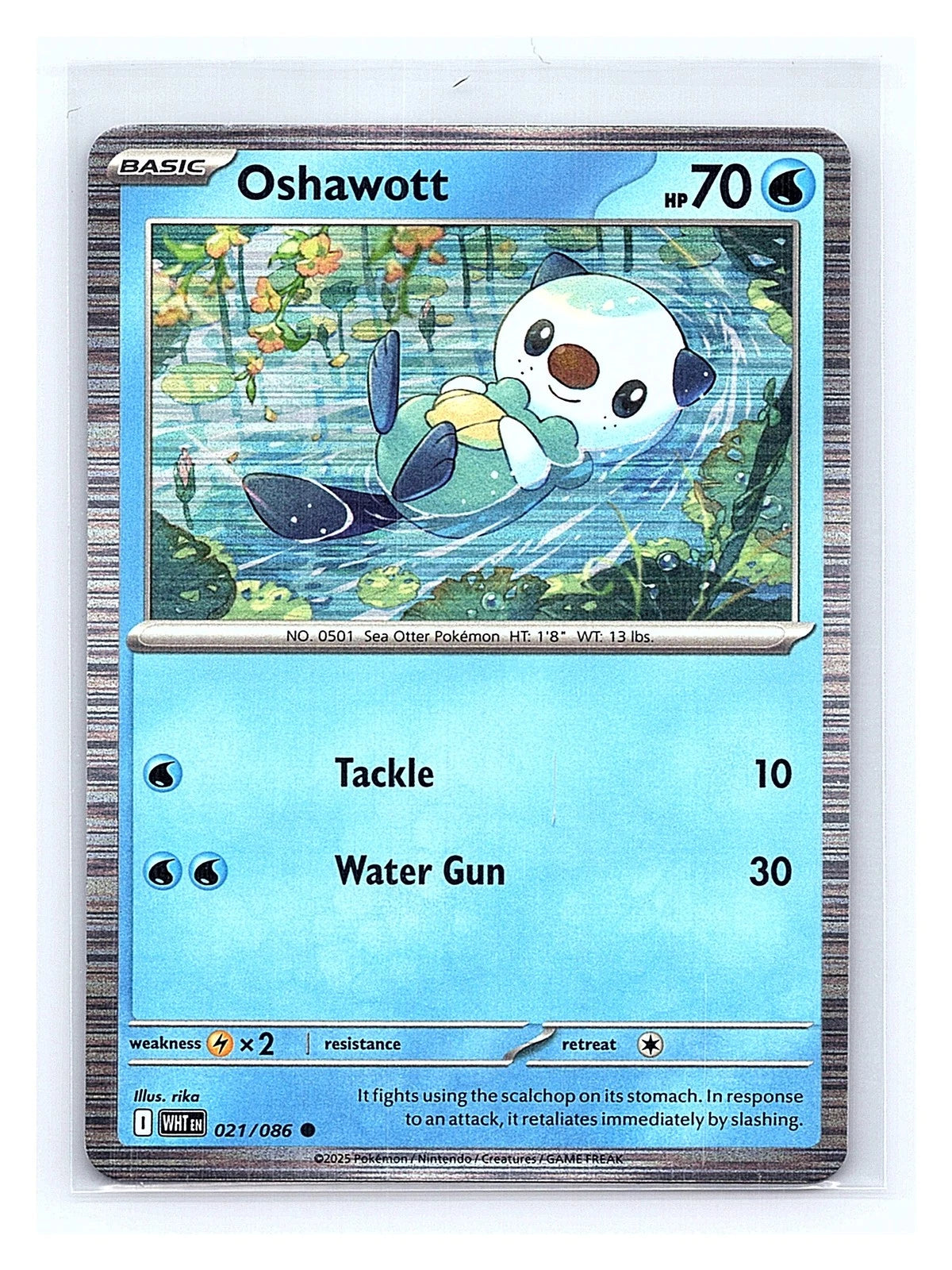 Oshawott - 021/086 21 - Miscellaneous Cards & Products Holofoil