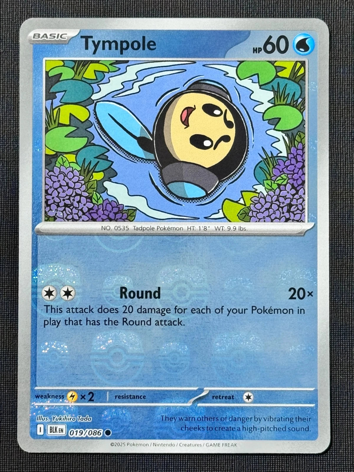 Tympole (Master Ball Pattern) 19 - SV Black Bolt Holofoil