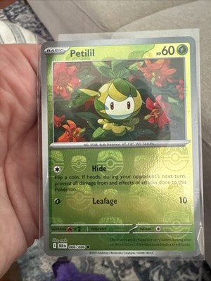 Petilil (Master Ball Pattern) 6 - SV Black Bolt Holofoil