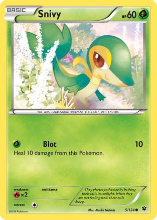 Snivy 5/124 - Fates Collide Reverse Holofoil