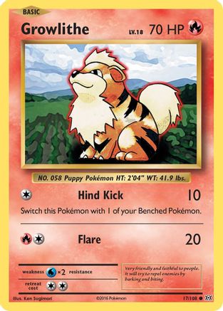 Growlithe 17/108 - XY  Evolutions