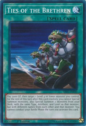 Ties of the Brethren (SR05-EN030) - Structure Deck: Wave of Light 1st Edition