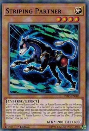 Striping Partner (EXFO-EN003) - Extreme Force 1st Edition