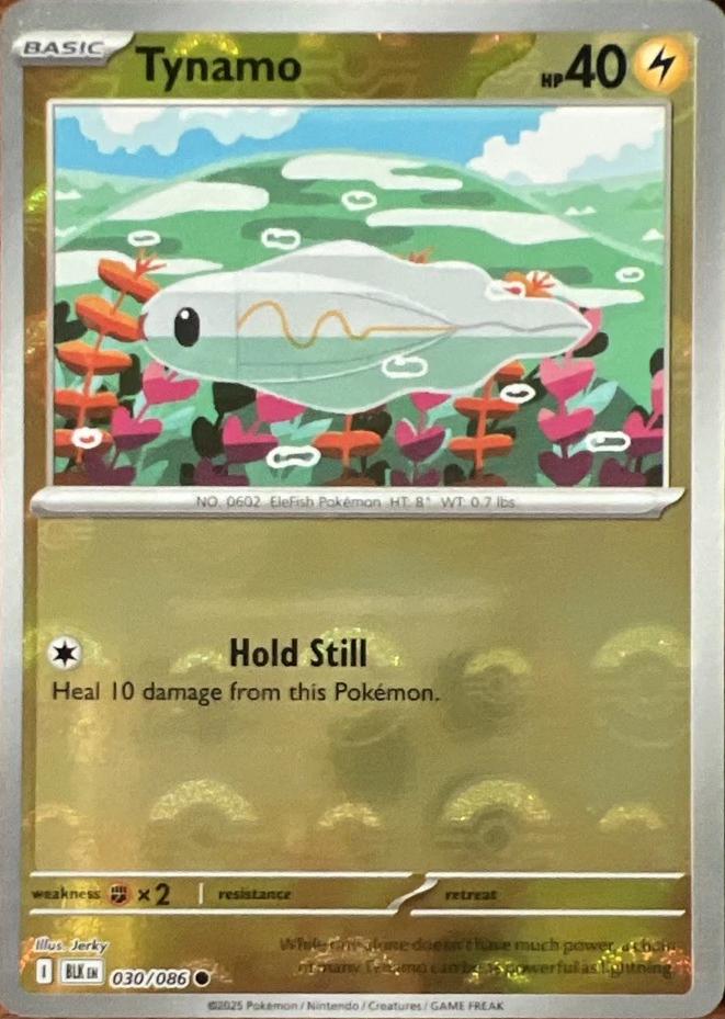 Tynamo (Poke Ball Pattern) 30 - SV Black Bolt Holofoil
