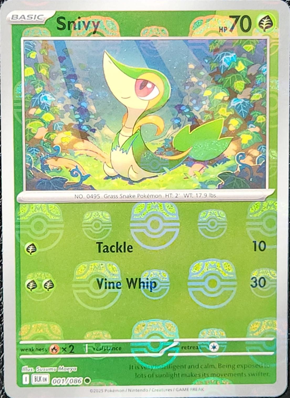 Snivy (Master Ball Pattern) 1 - SV Black Bolt Holofoil