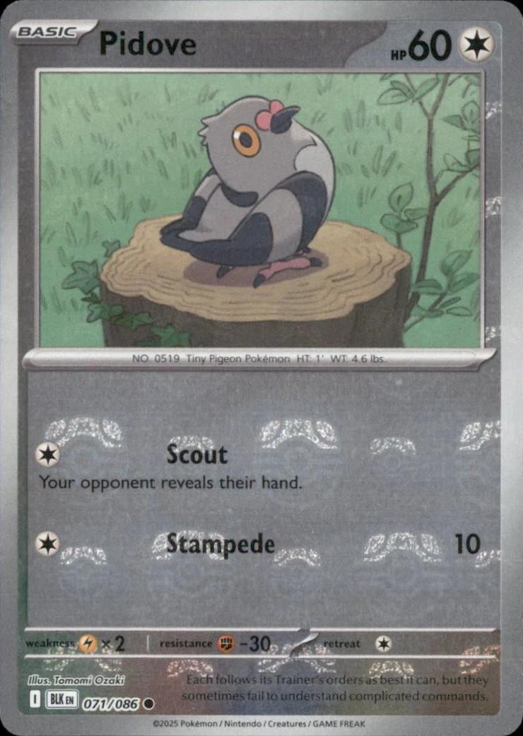 Pidove (Master Ball Pattern) 71 - SV Black Bolt Holofoil