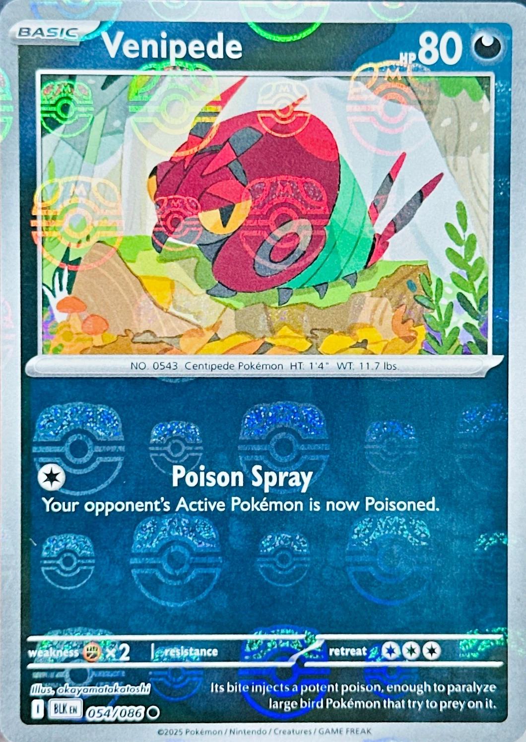 Venipede (Master Ball Pattern) 54 - SV Black Bolt Holofoil