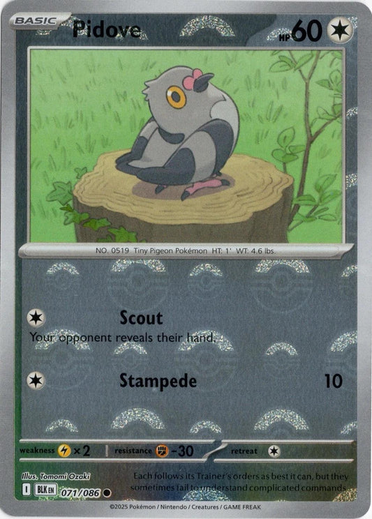 Pidove (Poke Ball Pattern) 71 - SV Black Bolt Holofoil