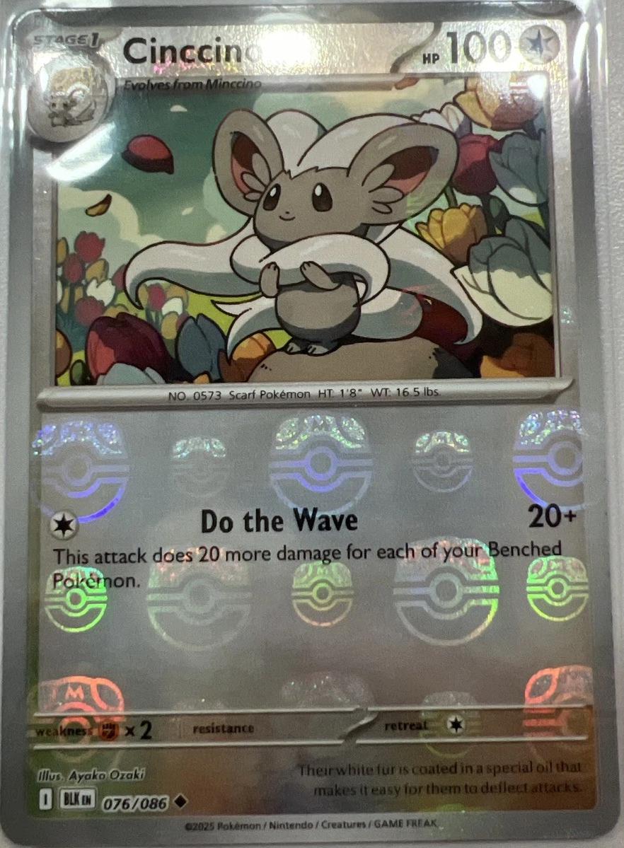 Cinccino (Master Ball Pattern) 76 - SV Black Bolt Holofoil