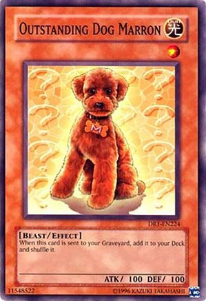 Outstanding Dog Marron (DR1-EN224) - Dark Revelation Volume 1 Unlimited