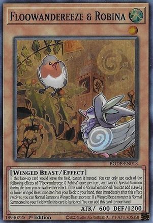 Floowandereeze & Robina (BODE-EN013) - Burst of Destiny 1st Edition