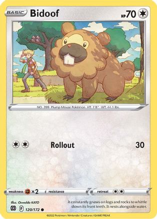 Bidoof 120/172 - Brilliant Stars