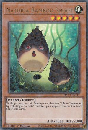 Naturia Bamboo Shoot (Duel Terminal) (HAC1-EN111) - Hidden Arsenal: Chapter 1 1st Edition