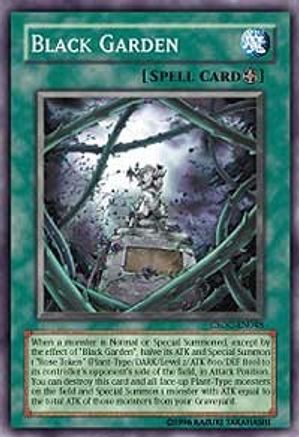 Black Garden (CSOC-EN048) - Crossroads of Chaos 1st Edition