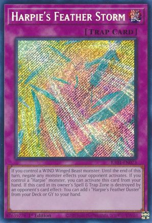 Harpie's Feather Storm (Secret Rare) (RA01-EN073) - 25th Anniversary Rarity Collection 1st Edition