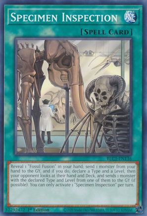 Specimen Inspection (BLC1-EN136) - Battles of Legend: Chapter 1 1st Edition