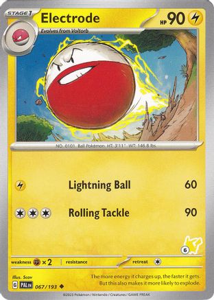 Electrode - Pikachu 6 67 - Battle Academy 2024