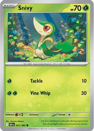 Snivy 1 - SV Black Bolt Holofoil
