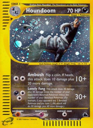 Houndoom H11/144 - Skyridge Holofoil