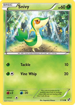 Snivy 1/114 - Black & White