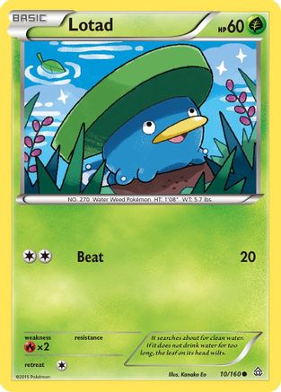 Lotad 10/160 - XY  Primal Clash Reverse Holofoil