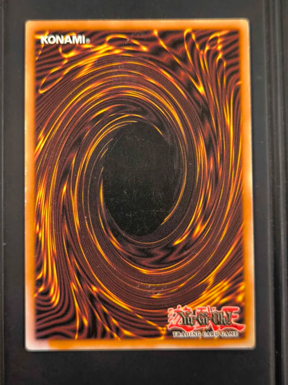 Yugioh Blue Eyes White Dragon BPT-003 Secret Rare VLP REVERSE HOLO