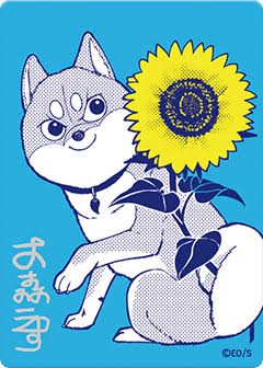 Shueisha Natsukomi 2026 Promo Shiba to Bouken