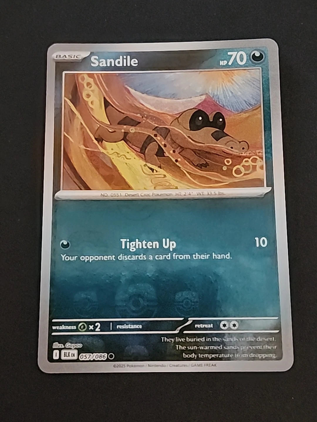 Sandile (Master Ball Pattern) 57 - SV Black Bolt Holofoil