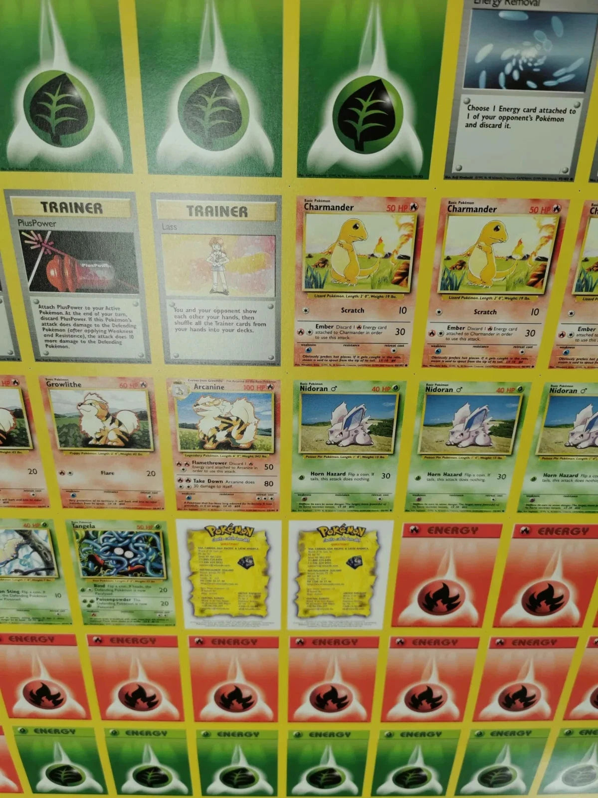 Pokemon Grass and Fire Themed Deck Uncut Sheet