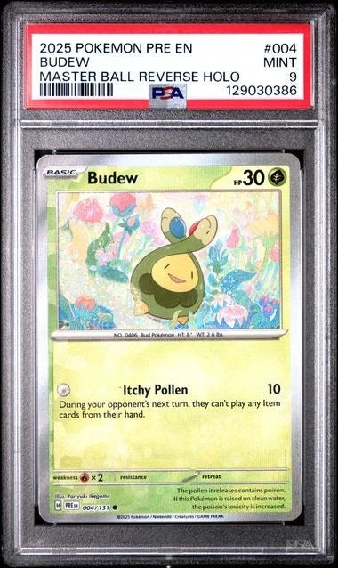 Pokemon Budew Master Ball Reverse Holo Prismatic Evolutions 004 PSA 9