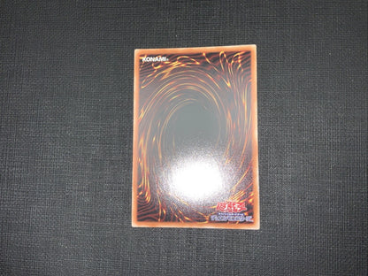 Yugioh 2019 Red-Eyes Black Dragon 2019-JPP01 Millennium Secret Rare VLP